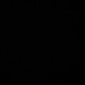 Meet your Posher, Shelly